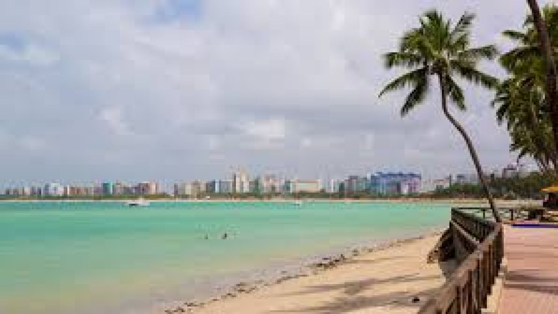 MACEIÓ | Enero | Circuito 3